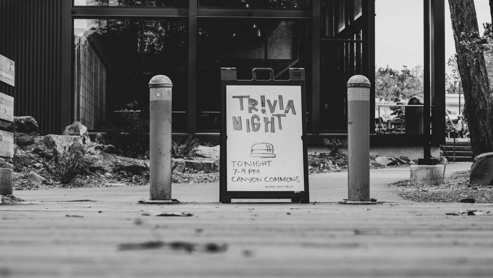 trivia team days