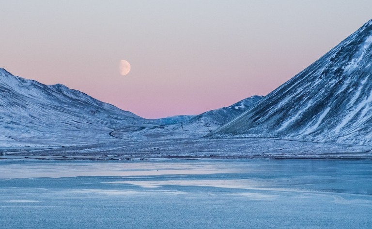 arctic survival land